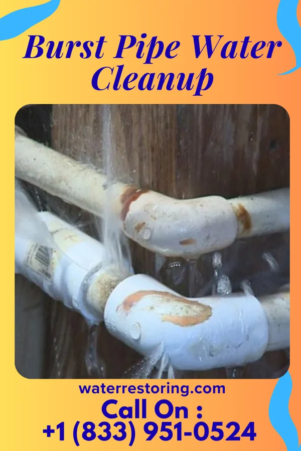 Burst Pipe Water Cleanup in Fort Myers Shores, FL